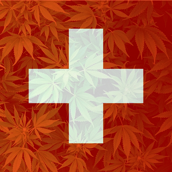 Iniziativa popolare per la Legalizzazione della Cannabis in Svizzera. 